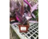 Setcreasea Purple Heart 4"