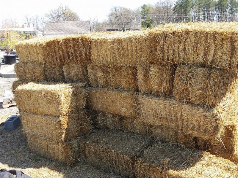 Product Code: Straw Bale Availability: West Broad Garden Center. 