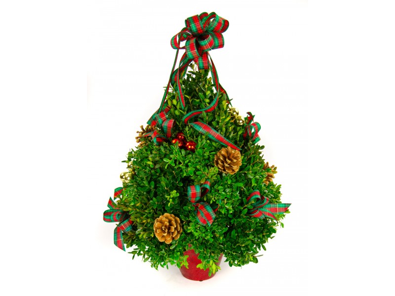 oh christmas tree strange s florists greenhouses garden oh christmas tree strange s florists greenhouses garden