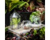 Unique Terrarium Containers