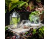 Unique Terrarium Containers