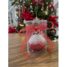 Waxed Amaryllis Bulb Gift