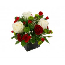 A Holiday Treat A Holiday Treat