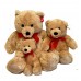 Plush Bear Tan- Small