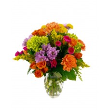 The Juliet The Juliet