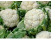 Cauliflower 4-Pack
