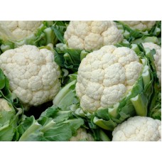 Cauliflower 4-Pack