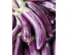 Eggplant 4-Pack