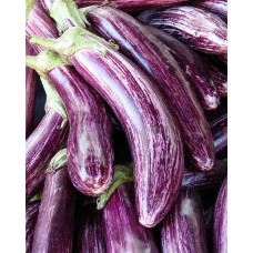 Eggplant 4-Pack