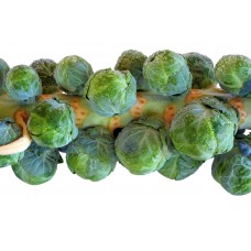 Brussels Sprouts 4-pack