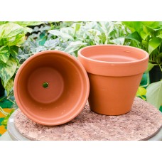 Terra Cotta Pot