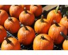 Pumpkins