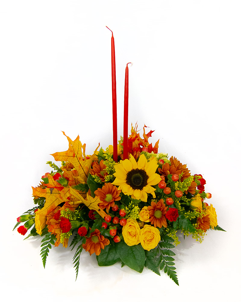 <b>Notice</b>: Undefined index: name in <b>/home/stranges/public_html/shop/vqmod/vqcache/vq2-catalog_view_theme_default_template_product_search.tpl</b> on line <b>386</b> <b>Notice</b>: Undefined index: name in <b>/home/stranges/public_html/shop/vqmod/vqcache/vq2-catalog_view_theme_default_template_product_search.tpl</b> on line <b>386</b>