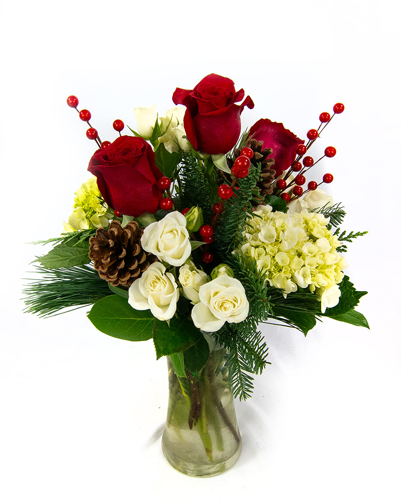 <b>Notice</b>: Undefined index: name in <b>/home/stranges/public_html/shop/vqmod/vqcache/vq2-catalog_view_theme_default_template_product_search.tpl</b> on line <b>386</b> <b>Notice</b>: Undefined index: name in <b>/home/stranges/public_html/shop/vqmod/vqcache/vq2-catalog_view_theme_default_template_product_search.tpl</b> on line <b>386</b>