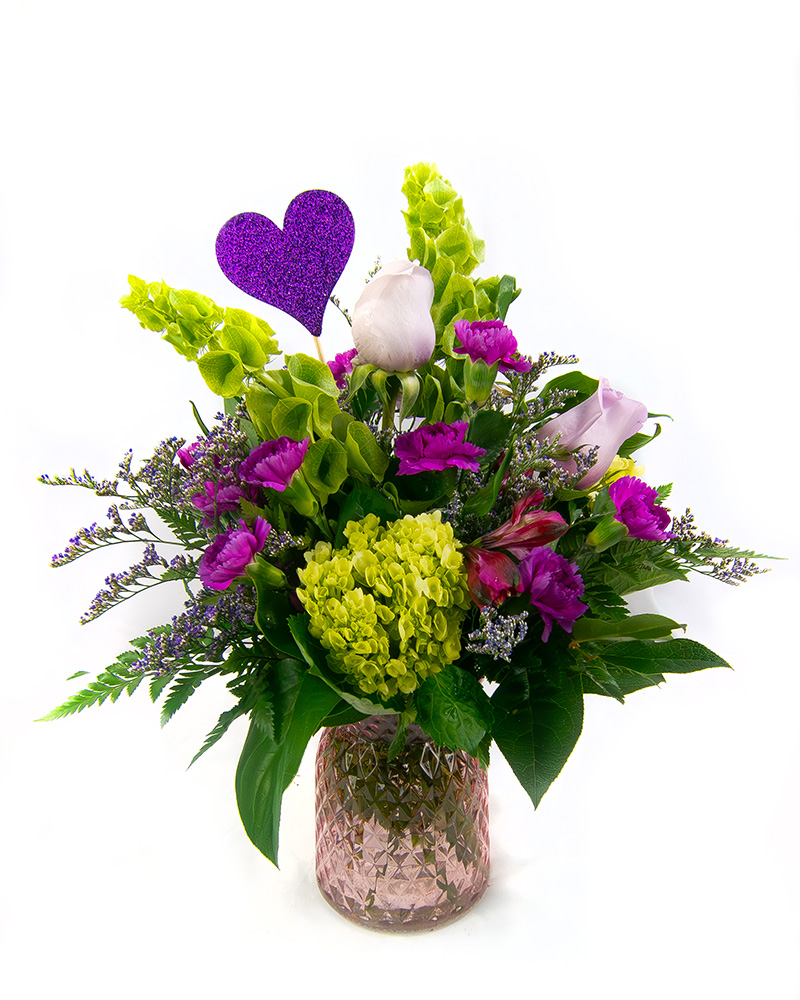 <b>Notice</b>: Undefined index: name in <b>/home/stranges/public_html/shop/vqmod/vqcache/vq2-catalog_view_theme_default_template_product_search.tpl</b> on line <b>388</b> <b>Notice</b>: Undefined index: name in <b>/home/stranges/public_html/shop/vqmod/vqcache/vq2-catalog_view_theme_default_template_product_search.tpl</b> on line <b>388</b>