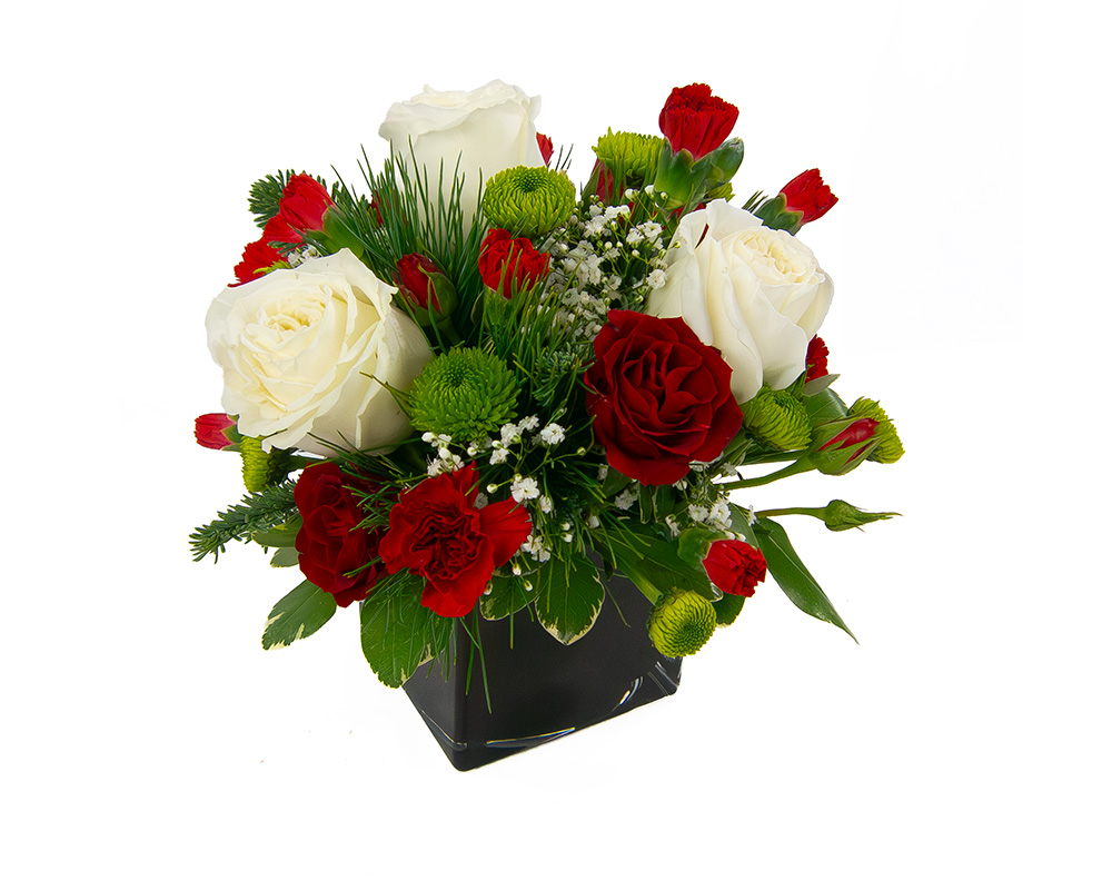 <b>Notice</b>: Undefined index: name in <b>/home/stranges/public_html/shop/vqmod/vqcache/vq2-catalog_view_theme_default_template_product_search.tpl</b> on line <b>386</b>