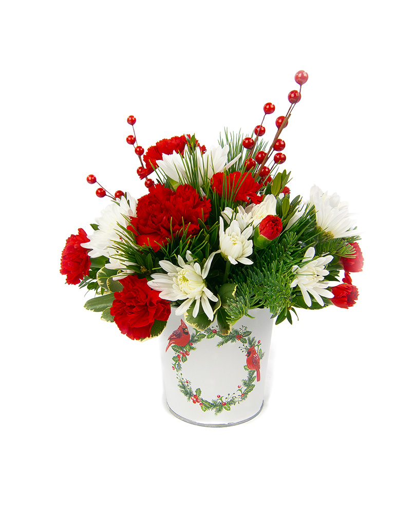 <b>Notice</b>: Undefined index: name in <b>/home/stranges/public_html/shop/vqmod/vqcache/vq2-catalog_view_theme_default_template_product_search.tpl</b> on line <b>386</b>