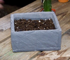 A faux Slate houseplant or bonsai container.