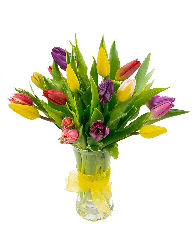 <b>Notice</b>: Undefined index: name in <b>/home/stranges/public_html/shop/vqmod/vqcache/vq2-catalog_view_theme_default_template_product_search.tpl</b> on line <b>388</b>