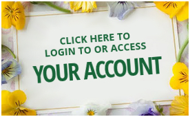 Account Login