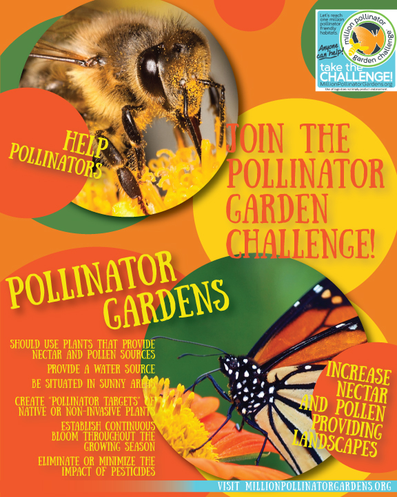 Pollinator Challenge
