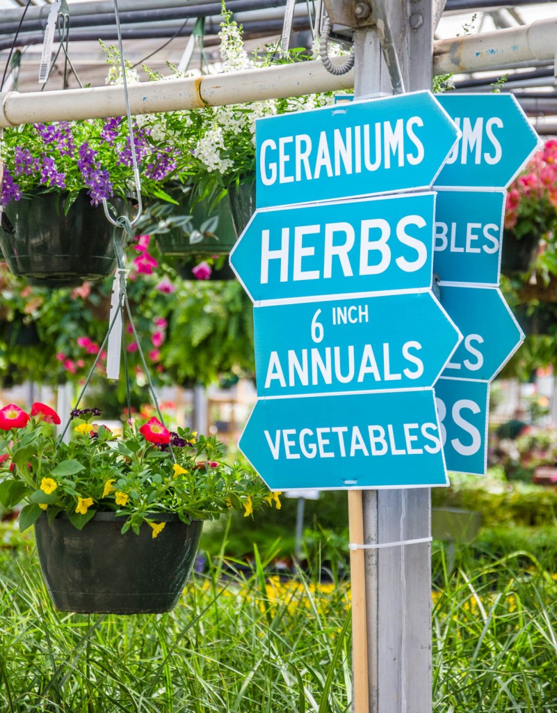 Strange's Greenhouse signs