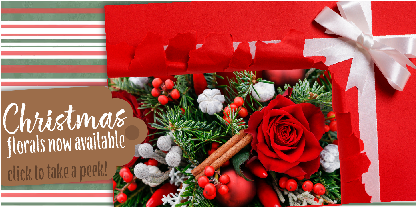 Social+BannerHolidayHours-01