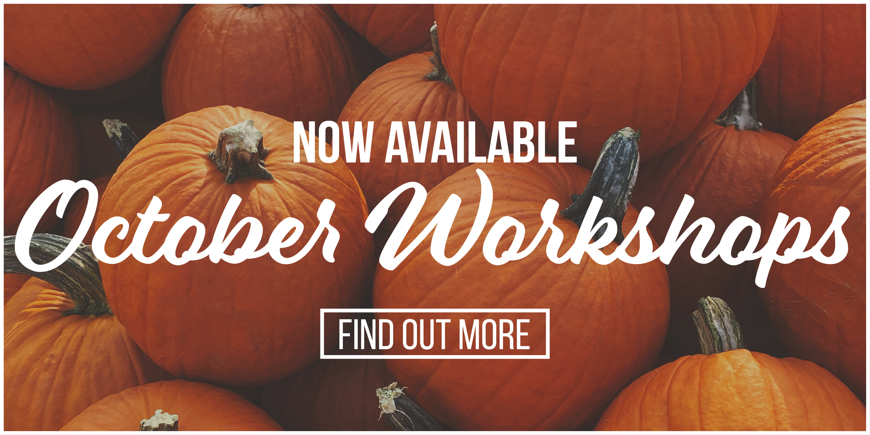 WebBannerOctoberWorkshops-01