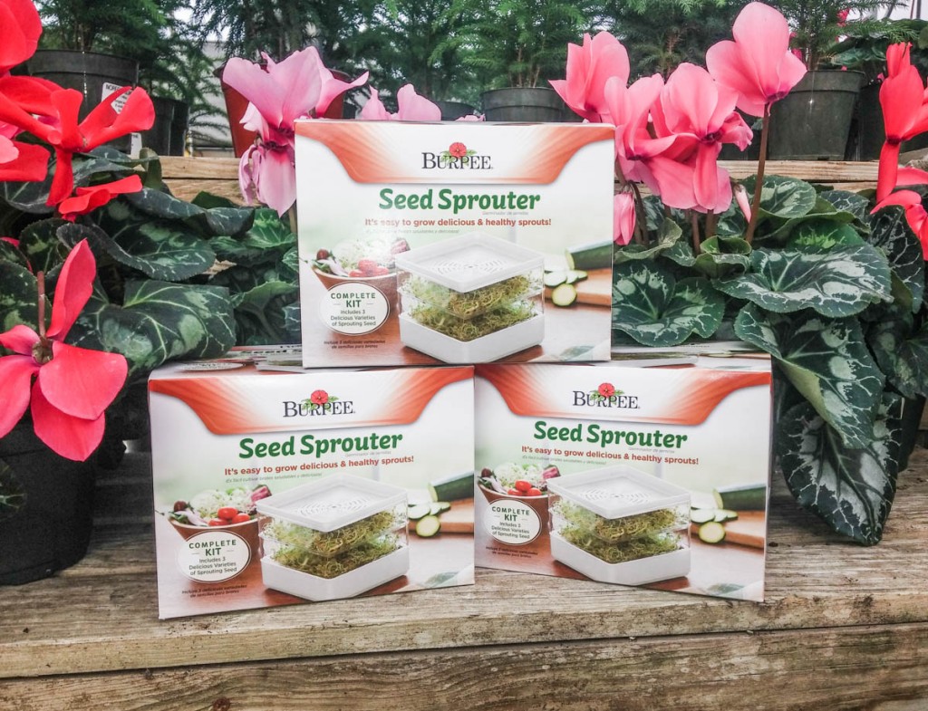 seed-sprouter-2