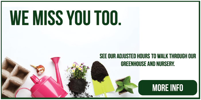 Strange S Florist Richmond Va Your Local Same Day Delivery Strange S Florist Richmond Va Your