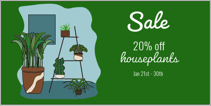 January Houseplant Sale