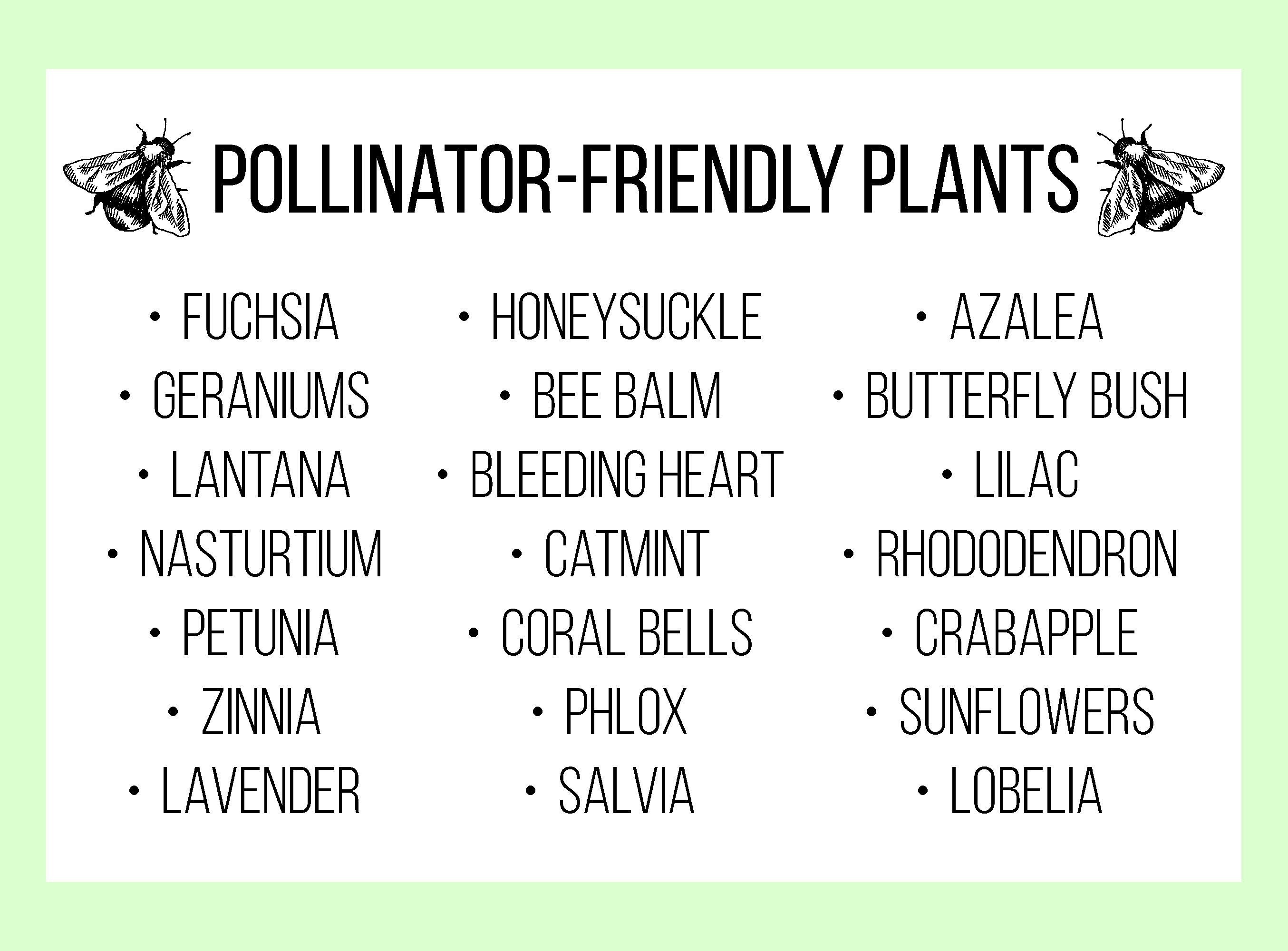 Plants for Pollinators: fuchsia, geraniums, lantana, nasturtium, petunia, zinnia, lavender, honeysuckle, bee balm, bleeding heart, catmint, coral bells, phlox, salvia, azalea, butterfly bush, lilac, rhododendron, crabapple, sunflowers, lobelia