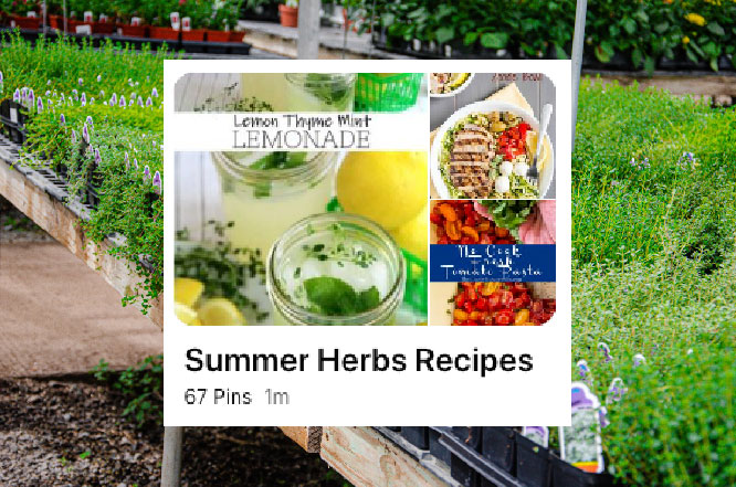 Link to Strange's Summer Herb Recipes board