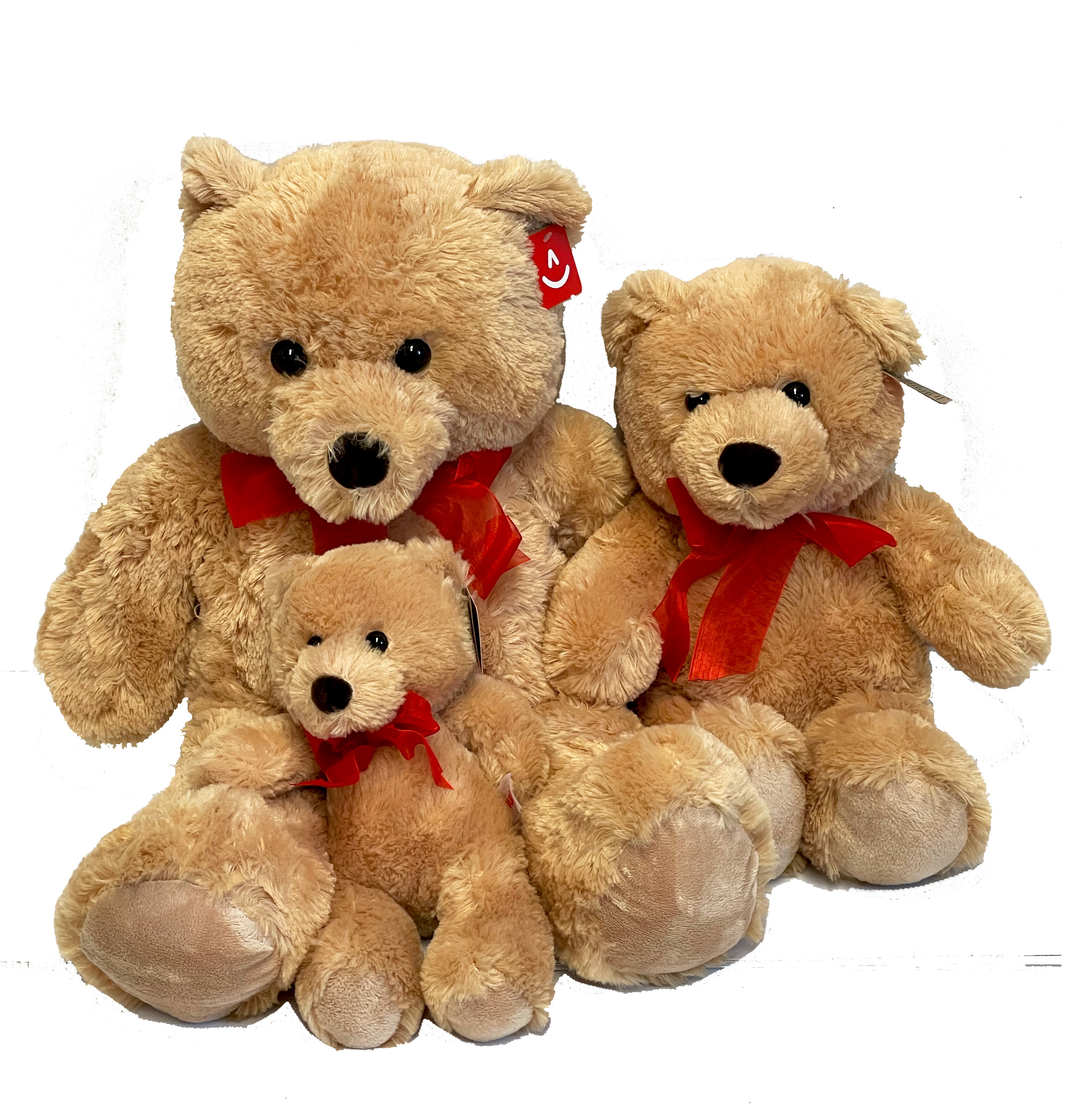 Teddy Bears Various Sizes