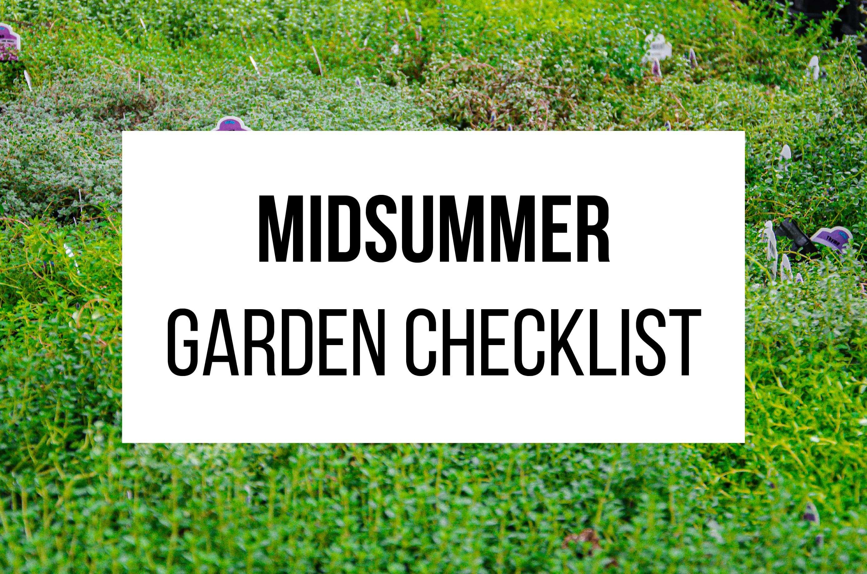 Midsummer garden checklist
