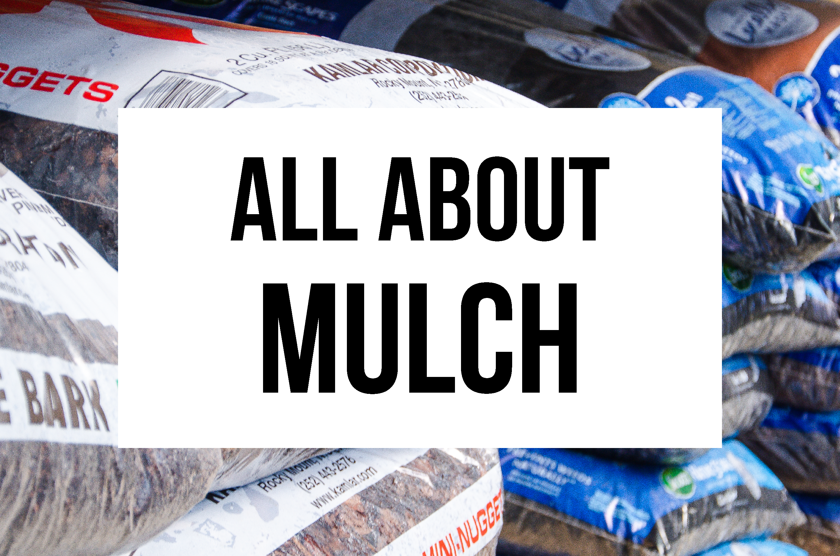 All about mulch!