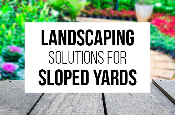 Landscaping Solutions for Sloped Yards