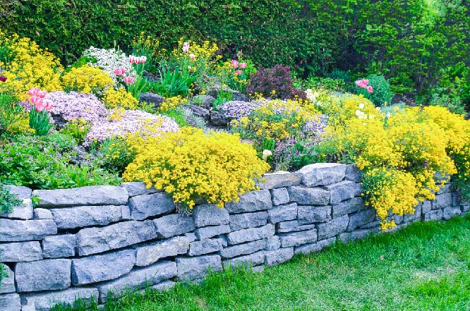 Beautifully landscaped slope with retaining walls, grass, and lush groundcover plants.