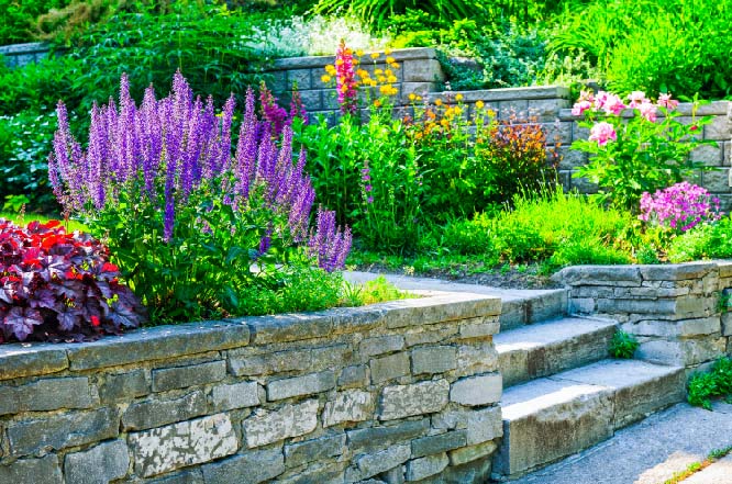 Beautifully landscaped slope with retaining walls, steps, and groundcover plants.