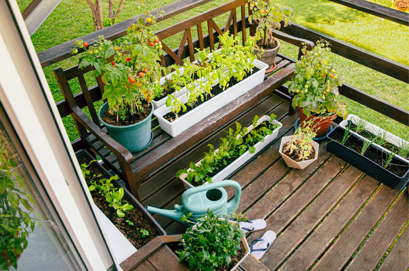 Pretty garden!
