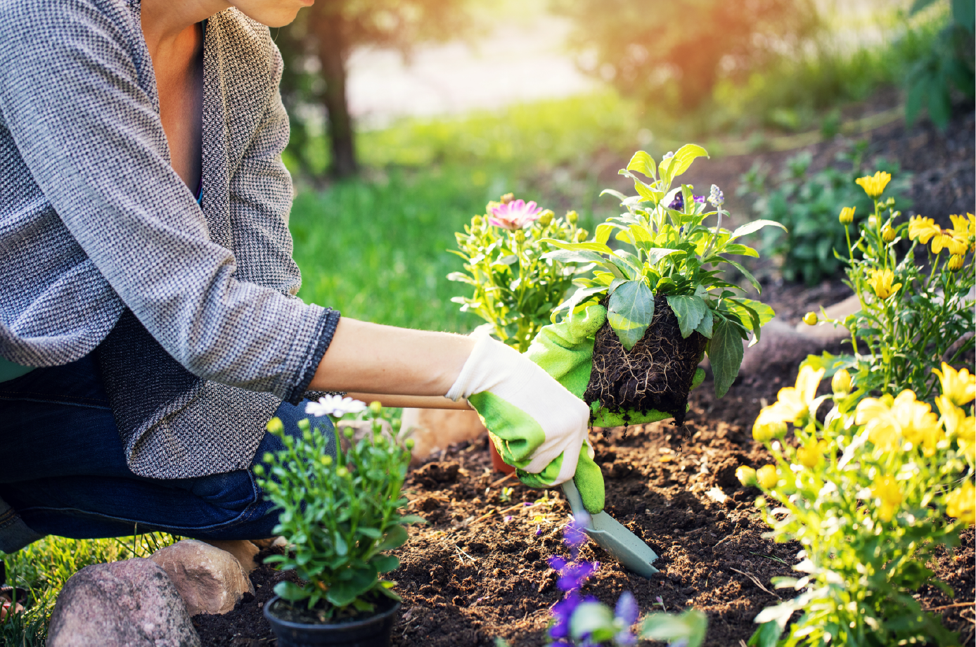 She's plantin'!