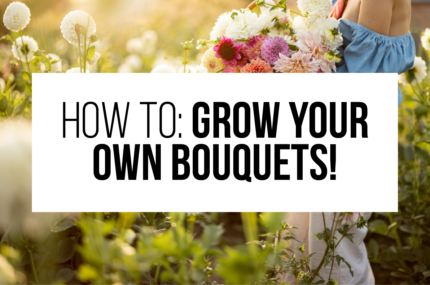 How to Grow Your Own Bouquets: Cut flower gardening