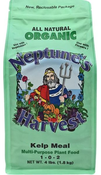 neptune harvest organic kelp meal