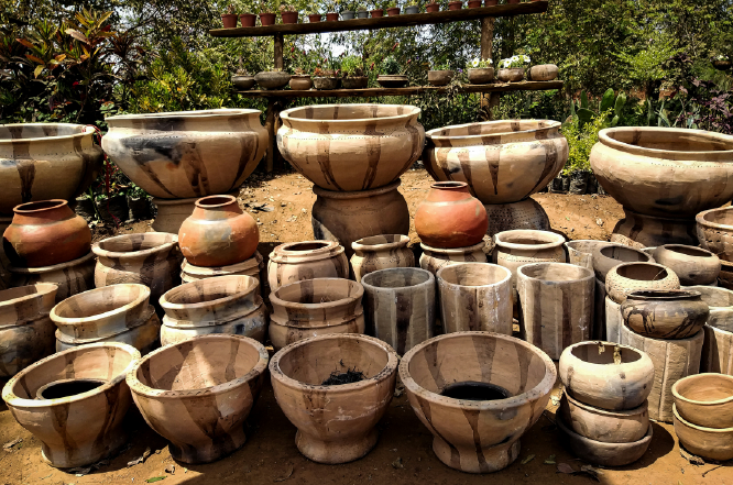 container garden basics